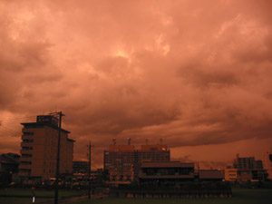 b0001154_23101371.jpg