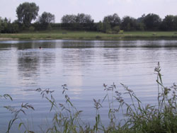 b0008366_4352845.jpg
