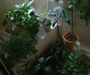 a0011999_21476100.jpg