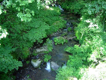 b0000977_2026123.jpg