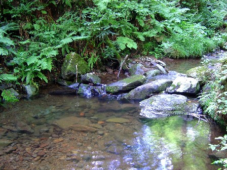 b0000977_203231.jpg