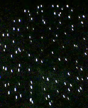a0028424_16234643.jpg