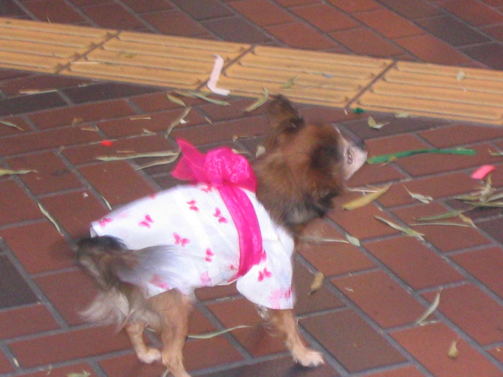 b0004492_2233551.jpg