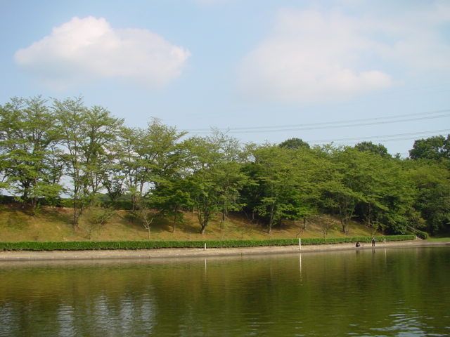 a0031000_13132336.jpg