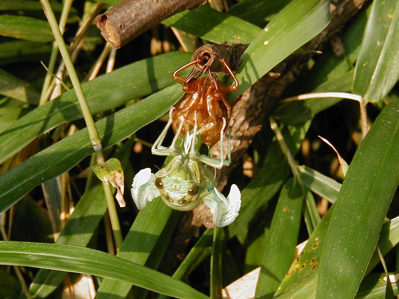 a0005667_920192.jpg