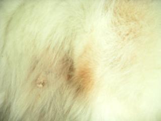 a0018200_1434950.jpg