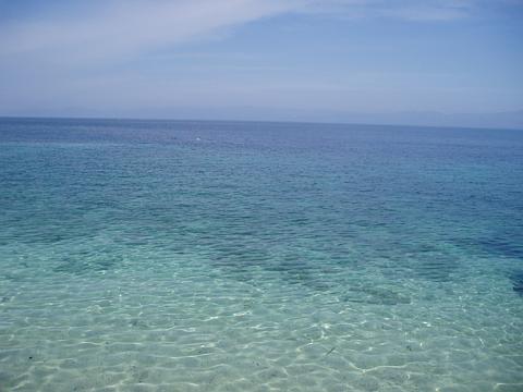 a0000014_117198.jpg