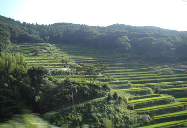 a0015110_2342182.jpg