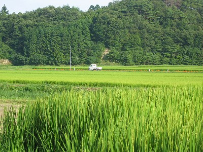 a0023043_16201290.jpg