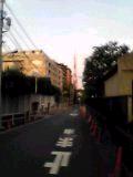 a0022584_016728.jpg