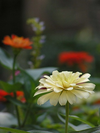a0027677_053553.jpg