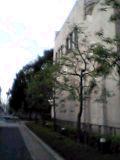 a0022584_20524428.jpg