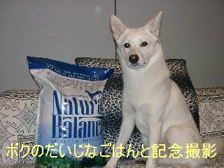 b0006329_21461816.jpg