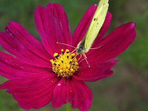 a0028803_1314950.jpg