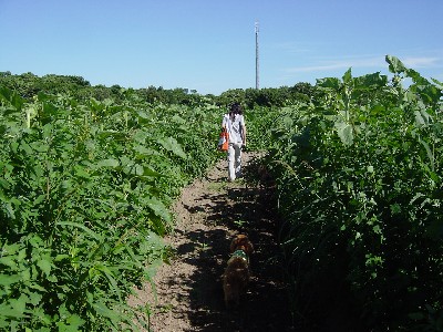 a0016311_11524051.jpg