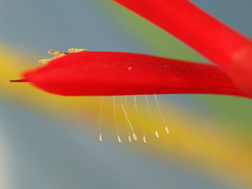 a0003746_17181538.jpg