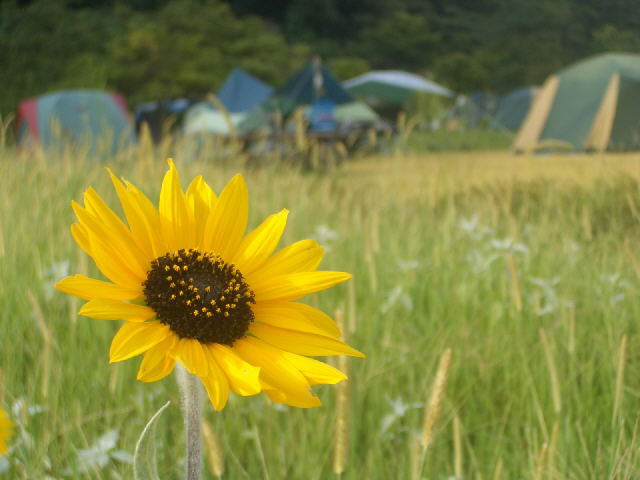 b0010882_05422.jpg