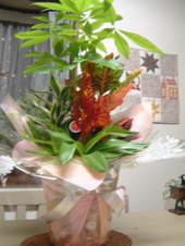 a0011999_19595226.jpg