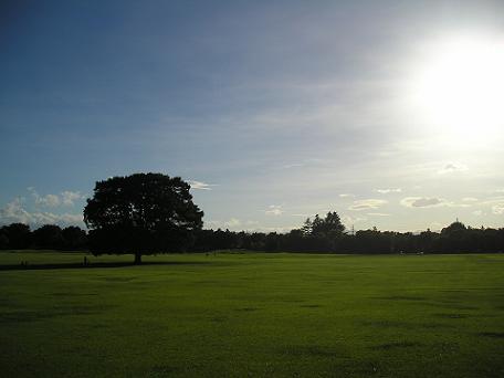 a0016944_19333648.jpg