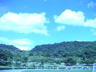 a0018200_16322073.jpg
