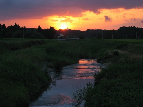 a0023043_525090.jpg