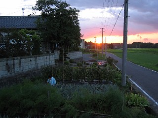a0023043_5254553.jpg