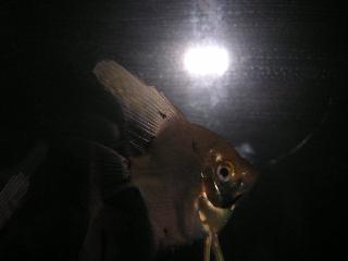 a0018200_12461366.jpg
