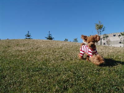 a0016311_21485759.jpg