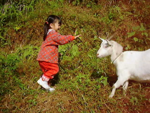 b0000252_17502567.jpg