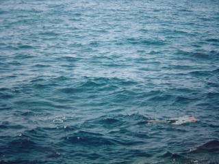 b0014464_22454083.jpg