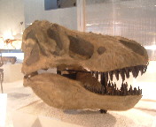 b0009665_23558100.jpg