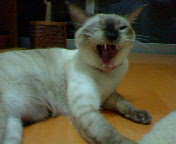 a0001668_22271423.jpg