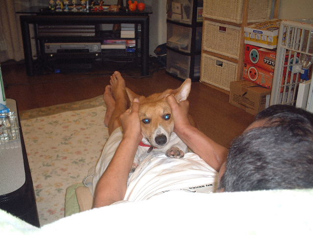 a0024004_2321181.jpg