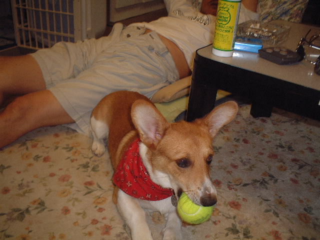 a0024004_23215010.jpg