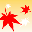 a0021421_1140557.gif