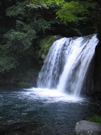 a0008622_1600100.jpg