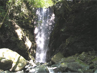 a0031432_22341371.jpg