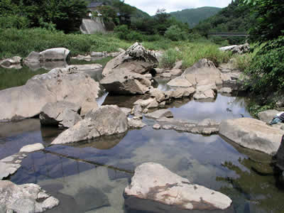 b0005662_20135595.jpg