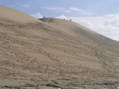 b0005662_212422.jpg