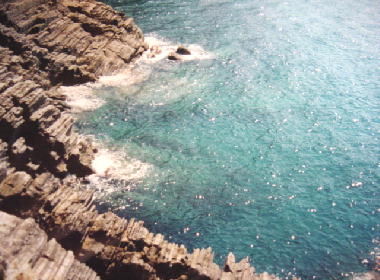 b0014464_232191.jpg