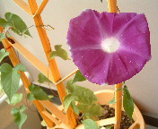 b0009665_19234952.jpg