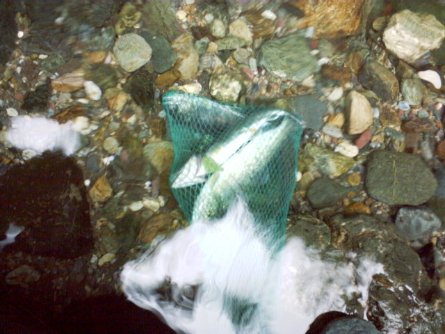 a0019751_1610961.jpg