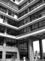 b0010831_111486.gif