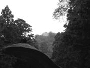 b0010831_247115.gif