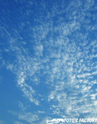 a0034287_21154890.jpg