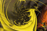 b0011287_20343754.gif