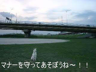 b0006329_20554256.jpg