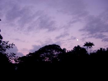 b0001980_22533036.jpg
