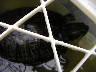 a0018200_12581915.jpg