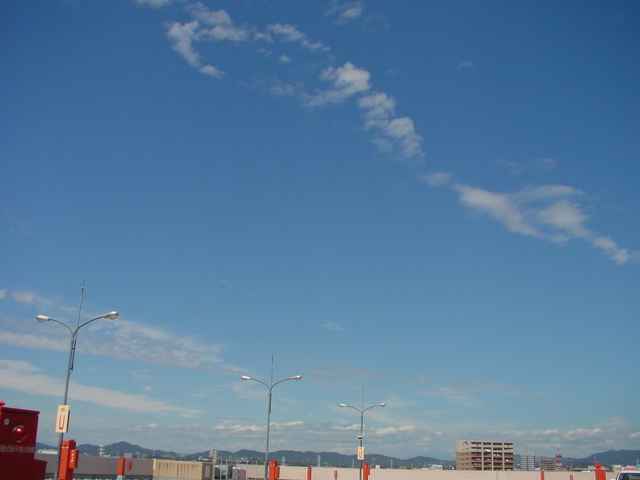 a0031000_018181.jpg